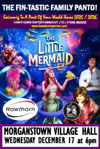 Poster for the Little Mermaid