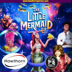 Poster for the Little Mermaid